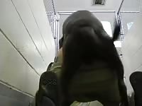 Pitbull Cock Gay Beast Com - Beastiality Porn Movie