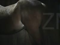 Playing With Sammy Gay Beast Com - Beastiality Sex Movie