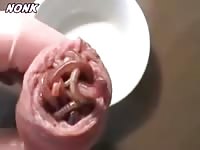 Playing With Worms Gaybeast.Com - Animal Porn