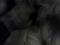 Pleasing Maya Gaybeast.Com - Beastiality Porn Tube