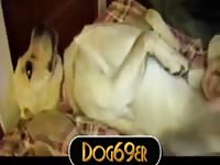 Pleasing The Lab Gay Beast Com - Zoo Xxx Sex Video