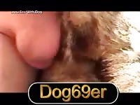 Pleasuring The Female Akita Vid Dog69er Akita Doubleload
