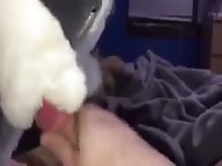 Plush Blowjob Gaybeast - Beastiality XXX Sex Movie