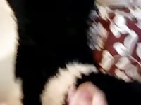 Plush Gsd Fun Gaybeast Rip - Zoo Xxx Porn Movie