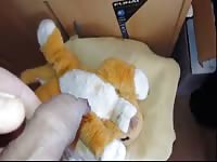 Plush Lion Simba Pee Gay Beast Com - Beastiality Porn Video