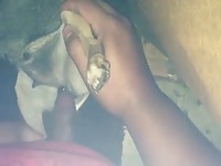 Pussy Play 2 Gaybeast - Animal Sex Video