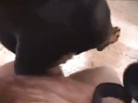 Rot Girl Gaybeast.Com - Beastiality Sex Porn Video
