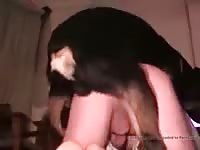 Rotties Balls