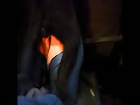 Russian Girls Beastiality Sex Extreme Animal Lovers Russian Girls Zoo 201