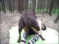Russian Girls Zoo Xxx Extreme Animal Lovers Russian Girls Zoo 49