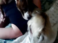 Russian Girls Animal Sex Extreme Animal Lovers Russian Girls Zoo 52