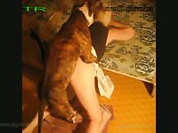 Russian Zoo 2016 Animal Sex From Moscow 026 Rusz