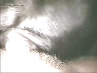 Screwing The Calf Gaybeast Rip - Bestiality Porn Tube