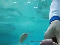 Sea Fish Eat My Cum Gay Beast Com - Beastiality Porn Movie