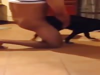 Sex Action Gay Beast Com - Animal Sex
