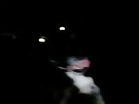 Sex For Fun Gaybeast.Com - Animal Sex Video