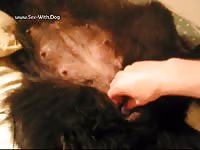 Sex With A Female Dog K9pupluver Sex With Ronja