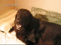 Sex With A Female Dog K9pupluver Sex With Ronja2
