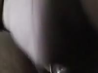 Sex With Mare 2 2 Gaybeast - Beastiality Porn Video
