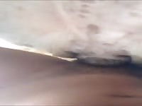 Sex With My Bullmastiff Woman Gaybeast.Com - Zoo Xxx Sex Video