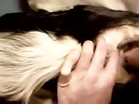 Sex With My Girl Gaybeast.Com - Animal Sex Video