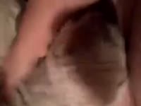 Sex With My Teddy Gaybeast Rip - Beastiality XXX Porn(2)