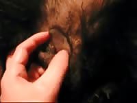 Sex With Ronja Gaybeast - Beastiality XXX Sex Movie