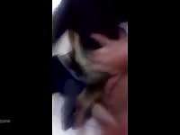 Sex With Street Dog Gaybeast - Beastiality XXX Sex Movie