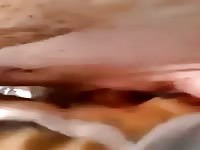 Sex With The Pig Gaybeast - Beastiality Sex Movie