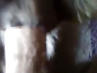 Sexo Con Mi Perra Gaybeast.Com - Beastiality XXX Sex