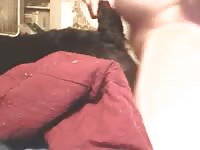Sexy Gsd Gets Pounded Gaybeast Rip - Bestiality Porn Video