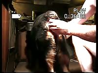 Shatz And Dildo Gaybeast - Bestiality Sex Tube
