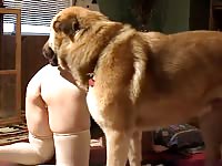 Shawn Is A Dog Fucker 2