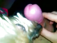 She Enjoying My Cock And Cum Gaybeast Rip - Bestiality Sex