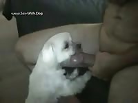 She Loves Cum Justlookingaround Bedroom