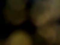 Sheath Fucki Gay Beast Com - Beastiality Sex Video