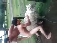 Sheep Fun 1 Gaybeast Rip - Beastiality Sex Porn Video