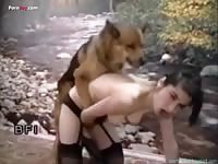 Shepherd Fucks Black Haired Owner