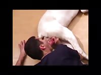 Short Clip Man Suck Dog