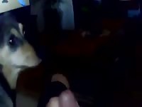 Short Makeout Eating Cum 1 Gaybeast.Com - Zoo Xxx Sex