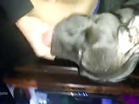 Slut Licks My Dick Gaybeast.Com - Animal Porn Video