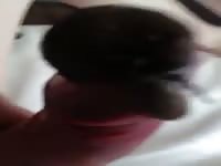 Snail On Cock Gaybeast.Com - Bestiality Sex Video
