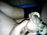 Snails Gay Beast Com - Animal Sex Movie