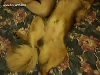 Some Action With Rigel Male K9 And 2 Men Admtalon Rigel Cums