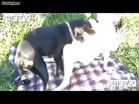 Sophie Meet Sophie2