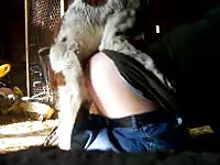 Spagnol Knot Gaybeast.Com - Beastiality Sex