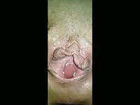 Squeekerz Some Of That Exclusive Content