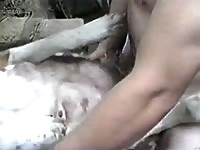 St Bernanrd Gaybeast Rip - Zoo Xxx Porn Movie