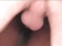 Horse Gets Buttfucked Gaybeast.Com - Animal Sex Porn