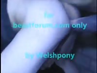 Horse Horse Fucks A Man Very Hard Gaybeast - Animal Sex Tube